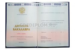 диплом геолога впо